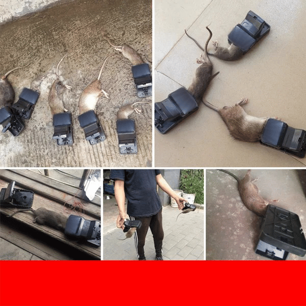 TrampaPRO - Trampa para ratones de alta potencia y sensibilidad