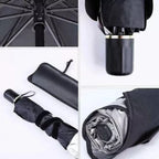 SolarGuard - Parasol  Panoramico  de Carro