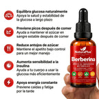 NaturaPlus Berberina —  El regulador de azúcar en sangre más potente de la naturaleza